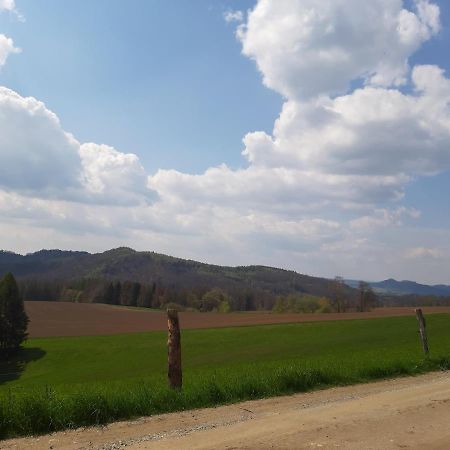 Apartamento Fewo Schiffner Bad Schandau Exterior foto